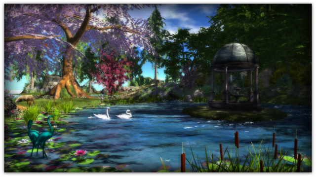 The pond1b